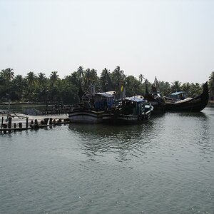 DSC00787