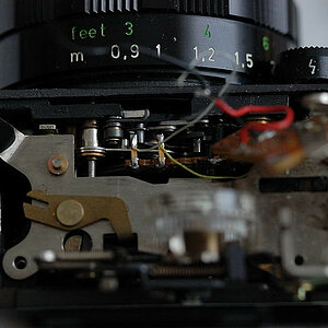 DSC 8564
