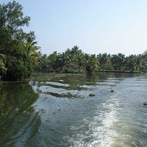 DSC00797