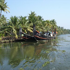 DSC00799