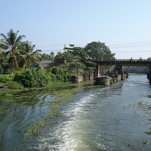 DSC00800