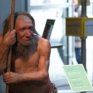 neandertaler