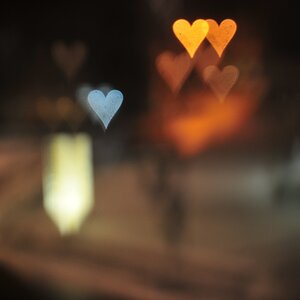 c bokeh 12