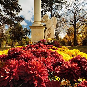 2009 10 28 11 02 Wien 072 D7C 0287