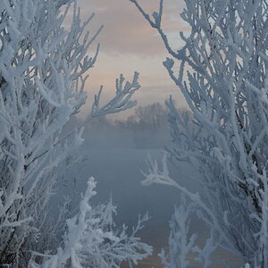 Still ruht der See