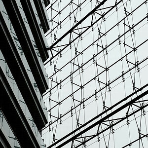 DSC 3184 dxo 1000