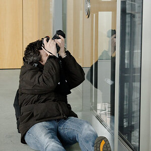 DSC 3208 dxo 1000