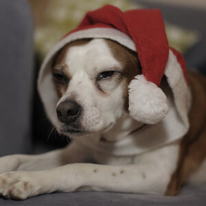 DSC4796