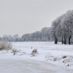 DSC5850 nff