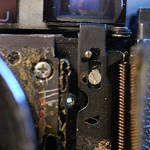 DSC 8620