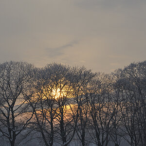 DSC5876 nff