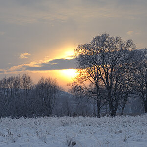 DSC5884 nff