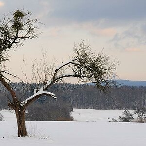 Winter003