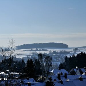 DSC 0008