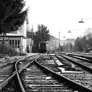 DSC5019 nff