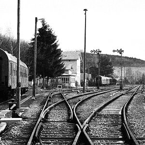 DSC5025 nff