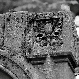 Alter Friedhof 29