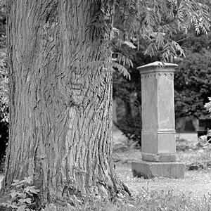 Alter Friedhof 31
