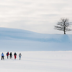 Schneeschuhwanderung 1