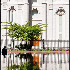 Reflexion