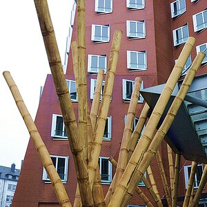 Bambusmikado