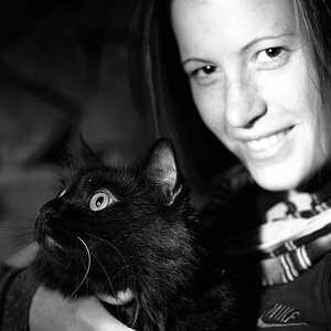 2009 09 12 Saarland Katze D7C 8032 ps