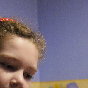 D300 ISO1800 100% Crop