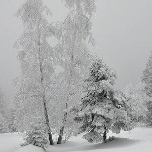 Winterlandschaft 2