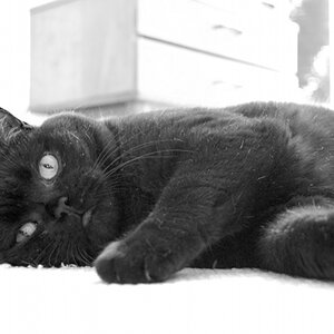 Oskar
