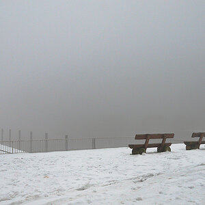 grau in grau