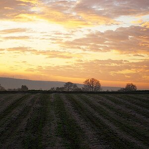 Acker + Odenwald