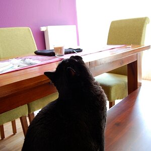 Oskar