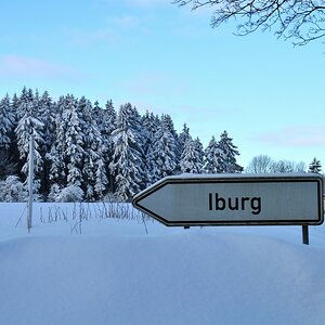 Die Einfahrt zur Iburg! Ich fand das Licht mit dem leicht einfallenden Morgen recht angenehm.