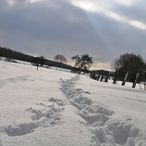 Unsere Spuren durch die Natur