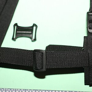 comp IMG 5916