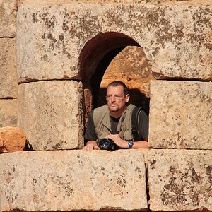 IMG 3621 900
Odo in Syrien - Al Bara