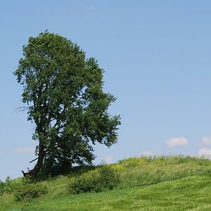 DSC 2092 0