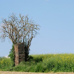 DSC 2115 0