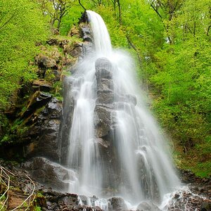 DSC 0987