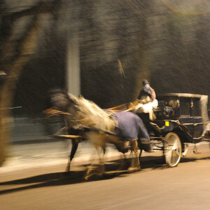 Fiaker im Wiener Prater