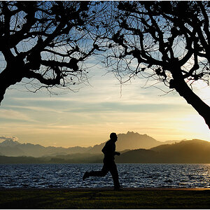Silhouette_IV