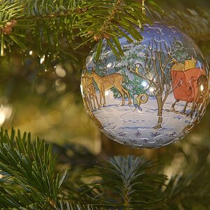 Test Dezember 20090011 001
