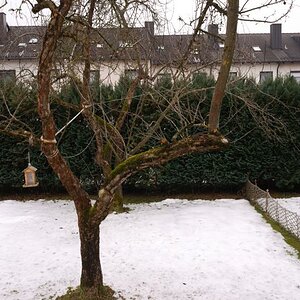 AF 20/2.8 D mit Seewasserschaden
nach Reparatur: Foto mit Exif-Daten (Fokus-Distanz oo),
aus denen man sieht, dass es wieder einwandfrei funktioniert.