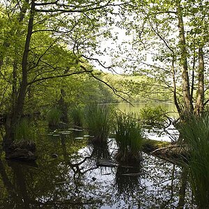 See auf dem Weg zum Königsstuhl