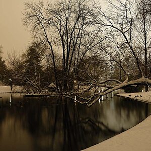 Stadtpark 002