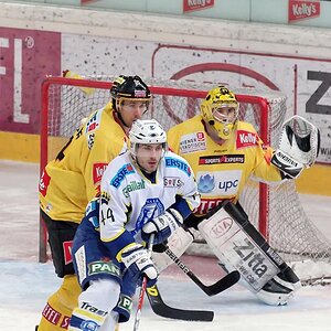 Vienna Capitals vs. KHL Medvescak Zagreb
