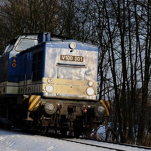 V100 im Wald4