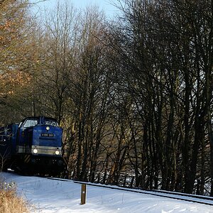 V100 im Wald