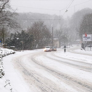 Daisy2