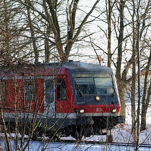 628 im Wald